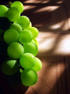 Grape, France